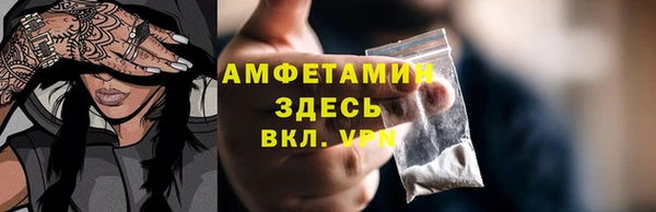 прущие грибы Магас